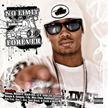 VA-NoLimitForever2011.jpg