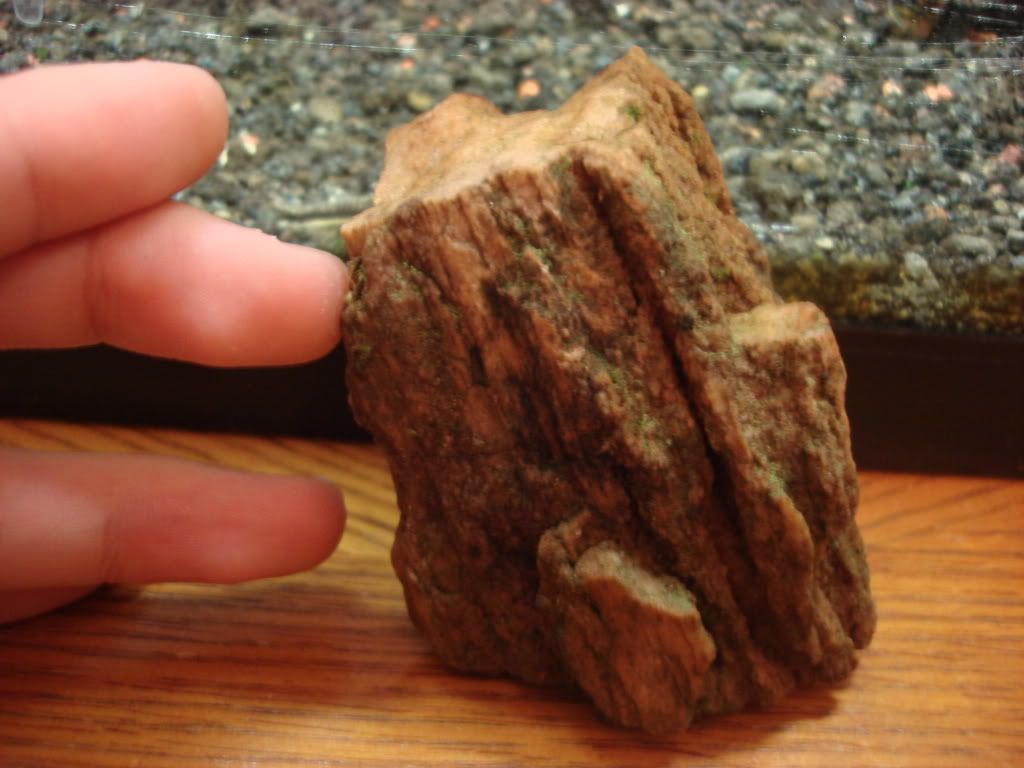 FS Small Rock Package =] For Sale or Trade Aquatic Plant Central