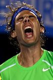 1/4 de finale - AUSTRALIAN OPEN, Credits 2012: AP/Reuters/GettyImages