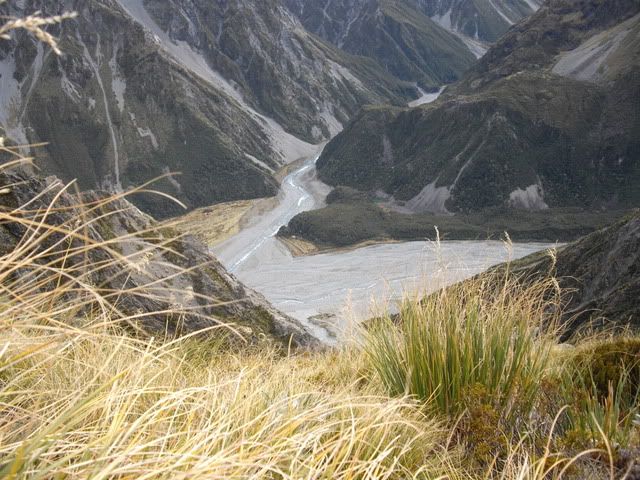 [Image: NZ2011070.jpg]