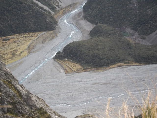 [Image: NZ2011071.jpg]