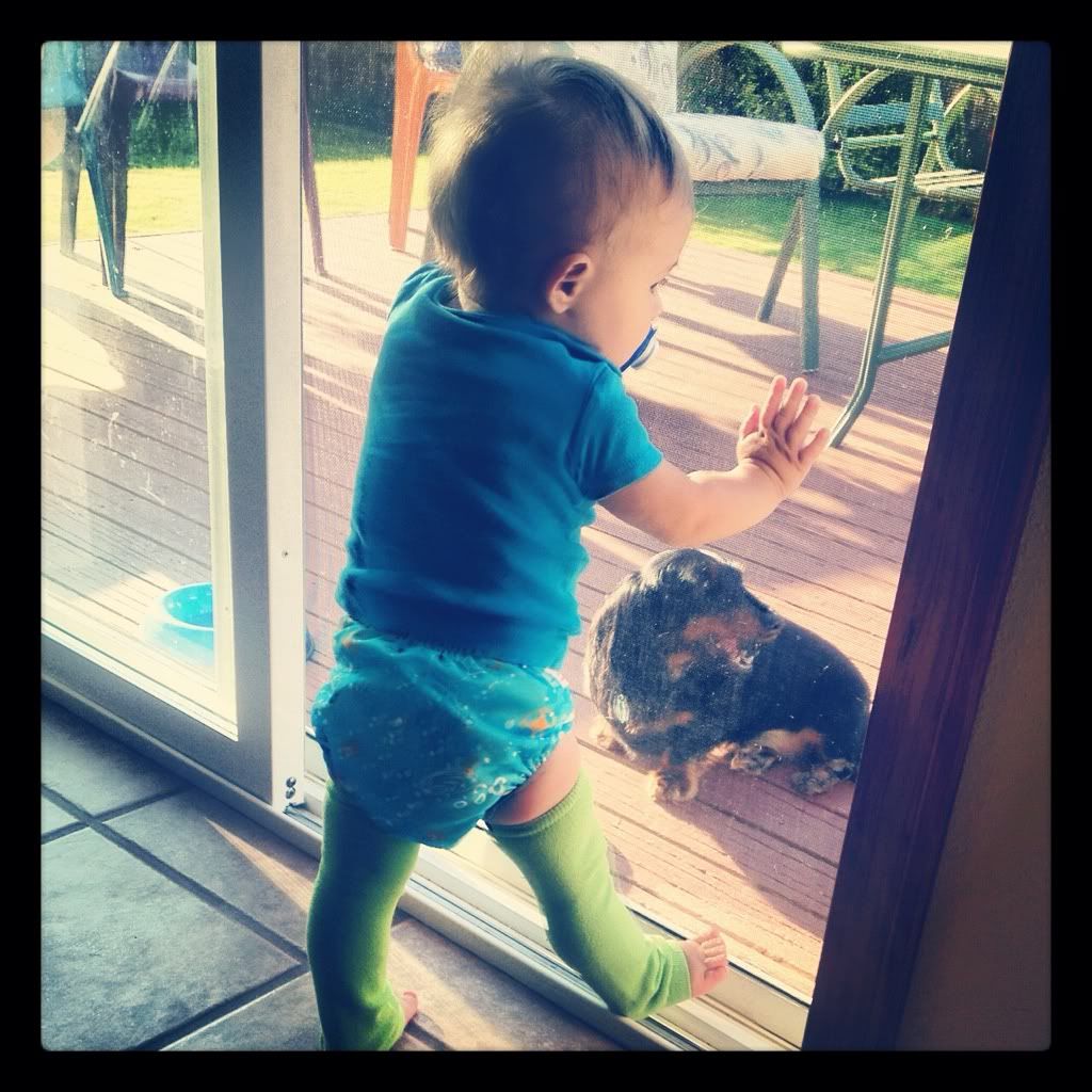 Photobucket Pictures, Images and Photos