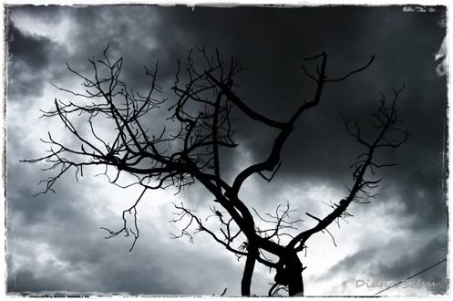 Demo image