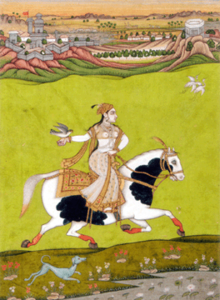 chandbibihawking_wikimedia.png