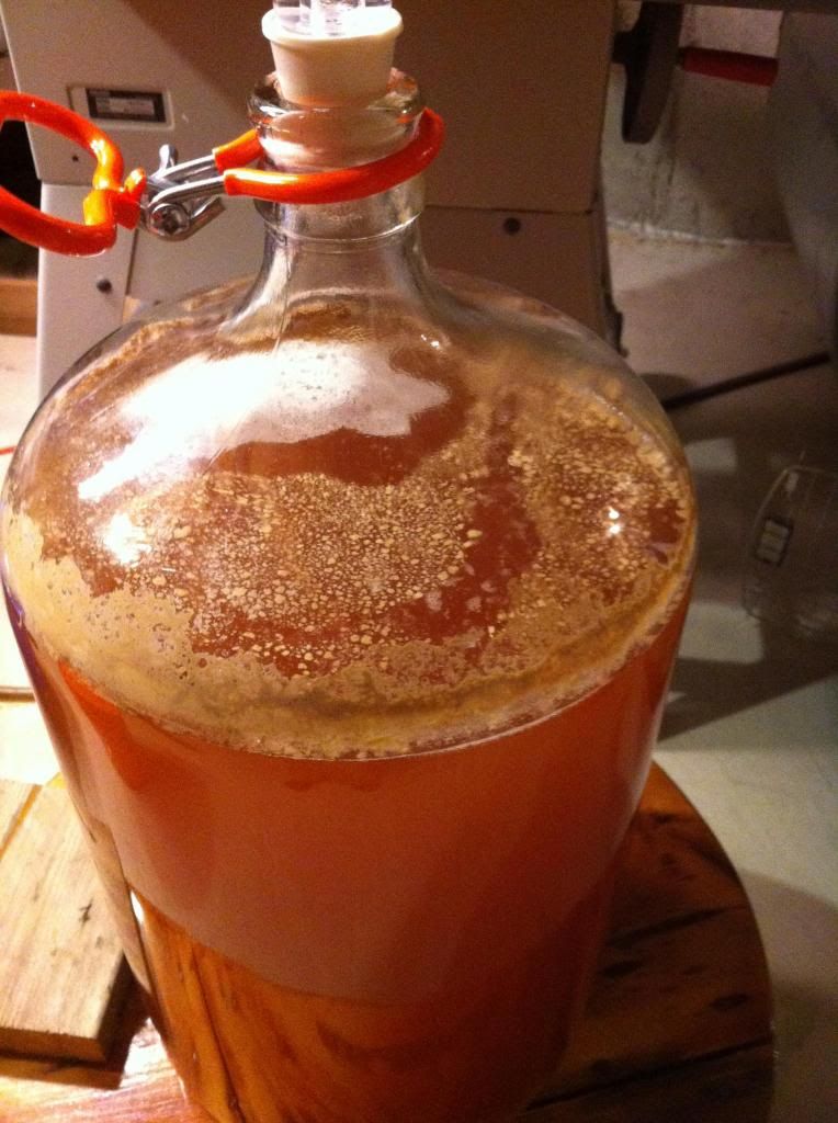 Normal Fermentation or bacterial infection? Canadian