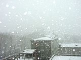 snow_311011