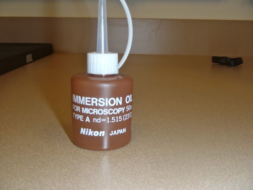 Oil Immersion with the 100X Objective