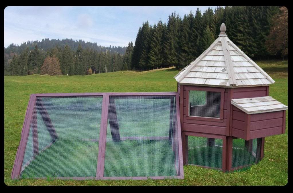 Cool Chicken Coops