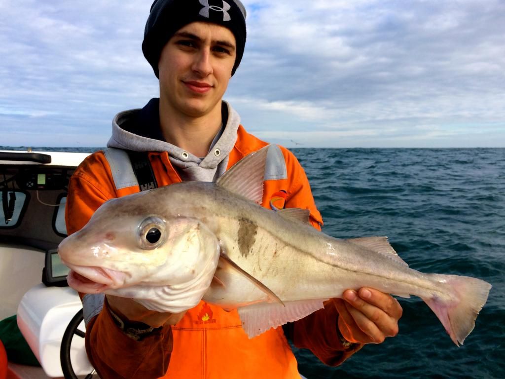 Day on the Haddock then out to the deeps...