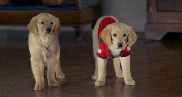 Capturadepantalla2012-02-07alas205225.png