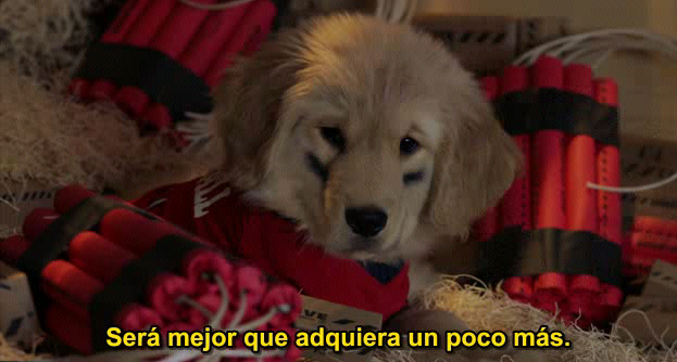 Capturadepantalla2012-02-07alas205241.png
