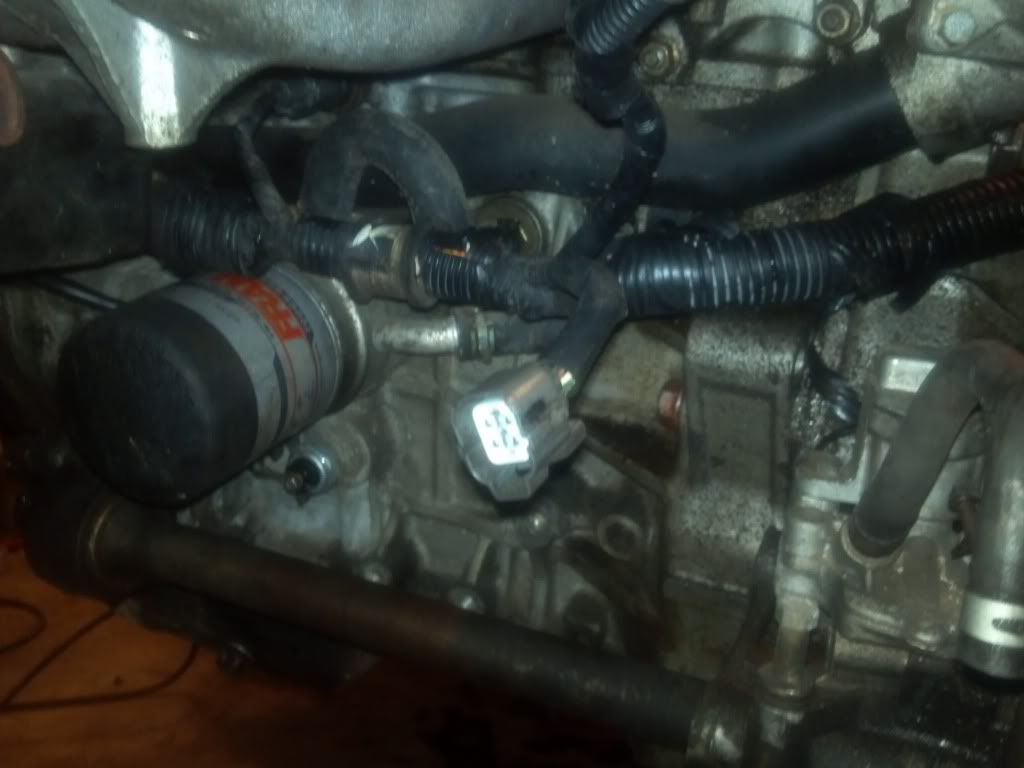 Wiring Harness Question - Honda Prelude Forum