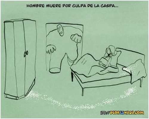 imagenes imagenes