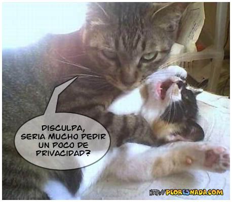 imagenes imagenes