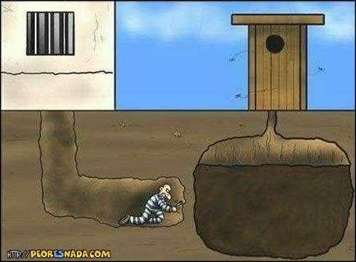 Imagenes graciosas Imagenes graciosas
