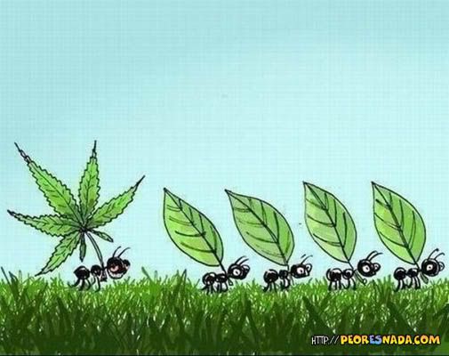 imagenes imagenes
