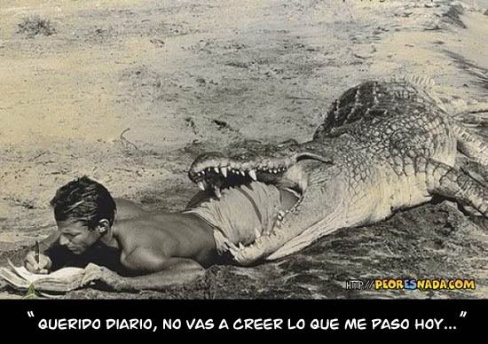 Imagenes graciosas Imagenes graciosas