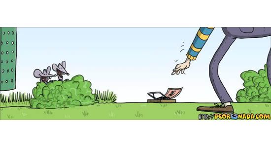 imagenes imagenes