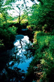nature Pictures, Images and Photos