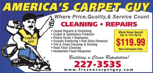 professional carpet cleaner nj
