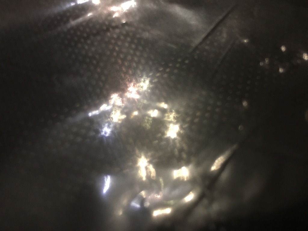 46A2F216-EC20-429A-AD11-484BEBDD29E4_zps