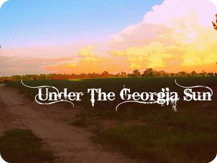 Under The Georgia Sun