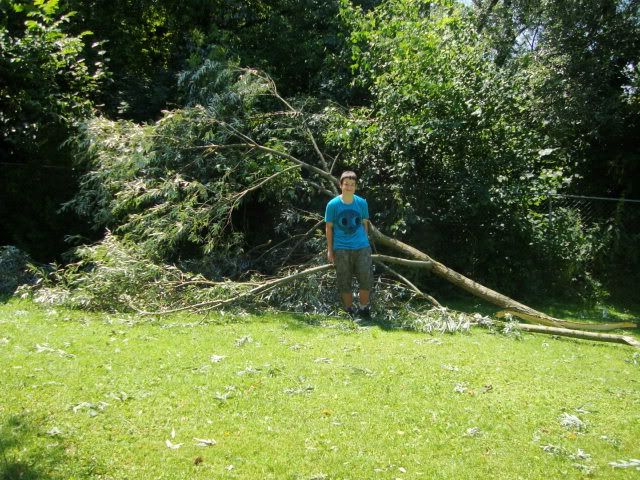 Bild