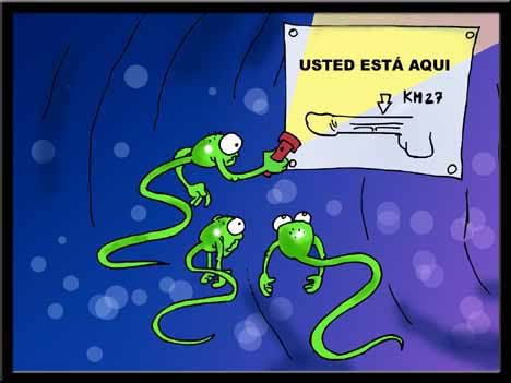 Nuevas frases para facebook & twitter Nuevas frases para facebook & twitter