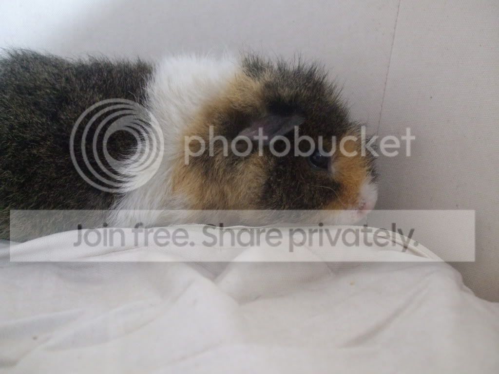 DSCF3720.jpg