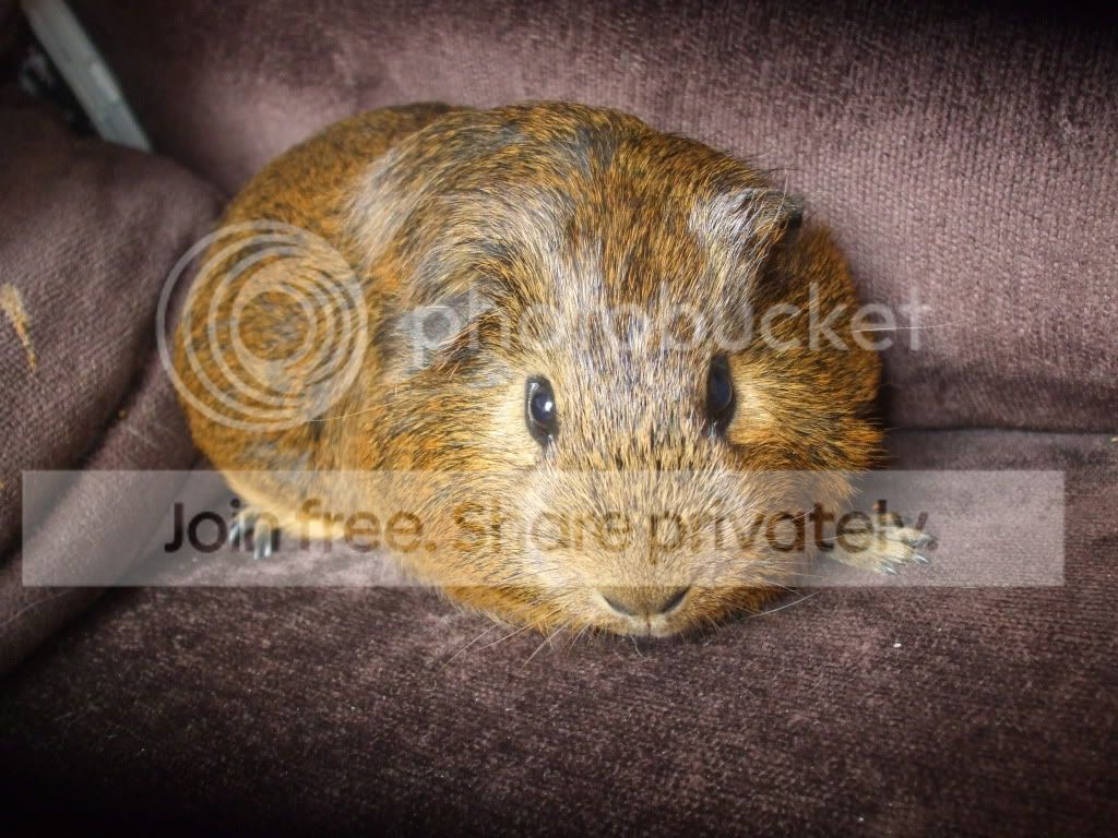 billben004.jpg