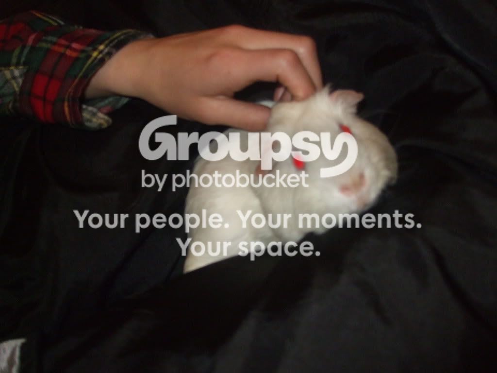 poorlyrocky001.jpg