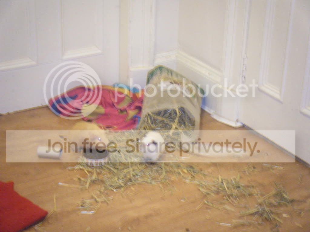 DSCF8984.jpg