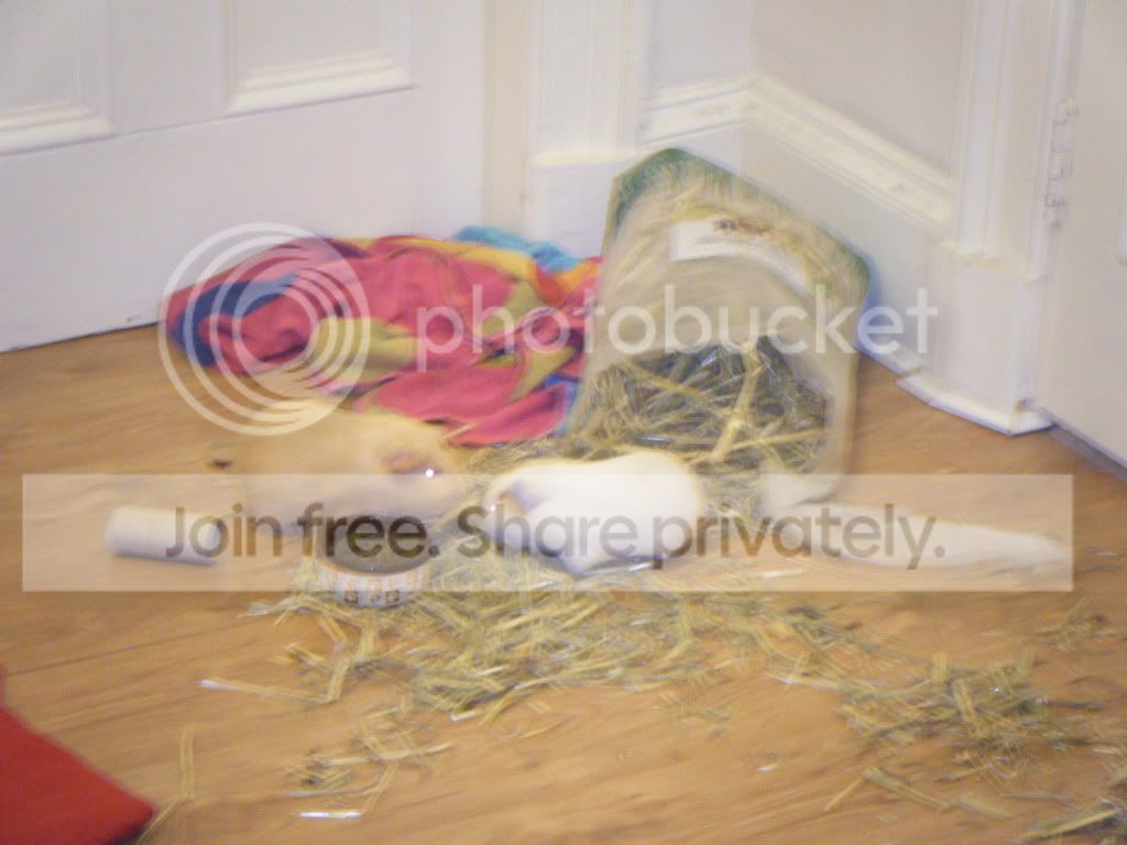 DSCF8985.jpg