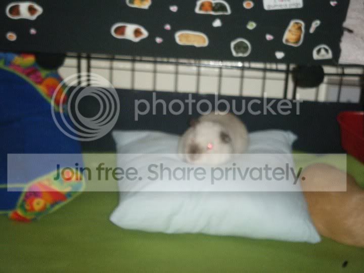 gilby.jpg
